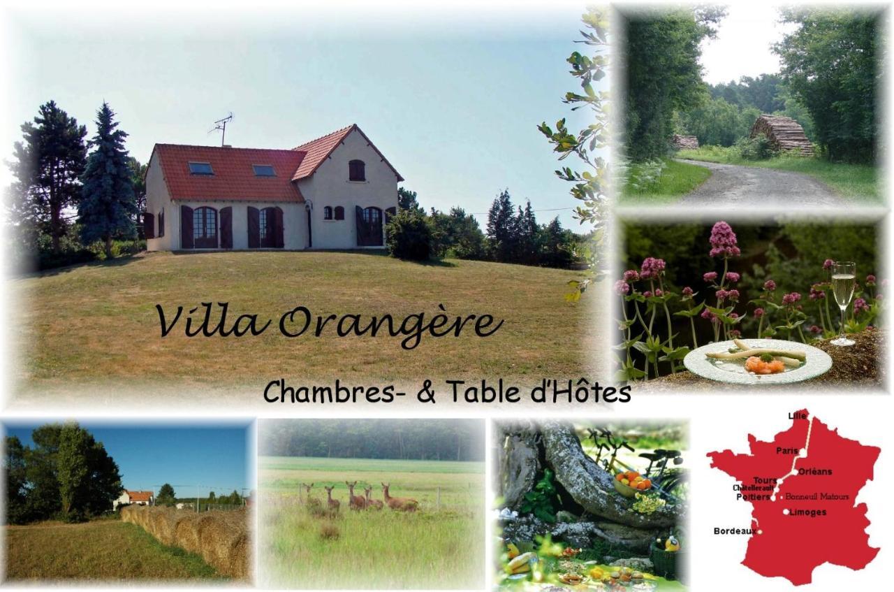 Villa Orangere Chambre Et Table D'Hotes Bonneuil-Matours Exterior photo